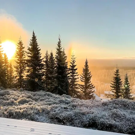 Hébergement de vacances Lovely In Sjusjoen With Kitchen Mesnali