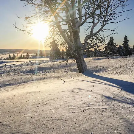 Дом отдыха Lovely In Sjusjoen With Kitchen *