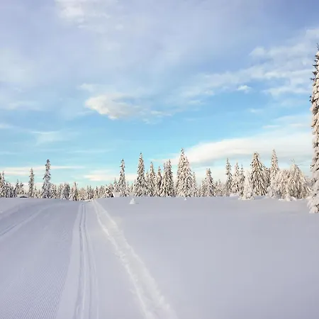 Lovely In Sjusjoen With Kitchen Дом отдыха